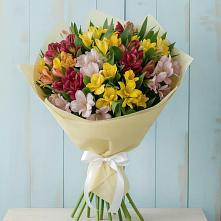 Букет цветов из:  Альстромерии #REPLACE_PRED# Санино