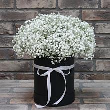 Цветочная композиция из Гипсофила в шляпной коробке в Санино