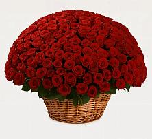 Премиум букет из: Розы #REPLACE_PRED# Санино